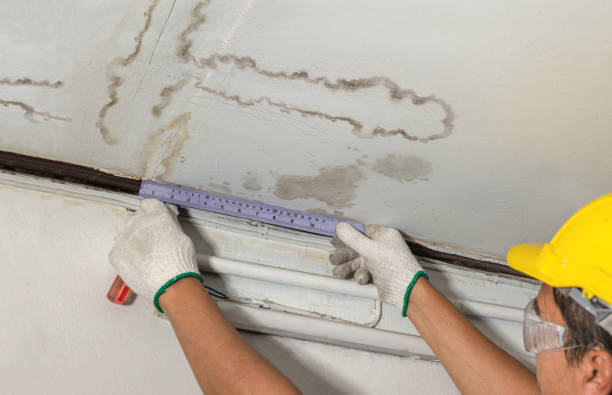 Reliable Water Damage contractor in East Lyme, CT by Water Damage Irwin